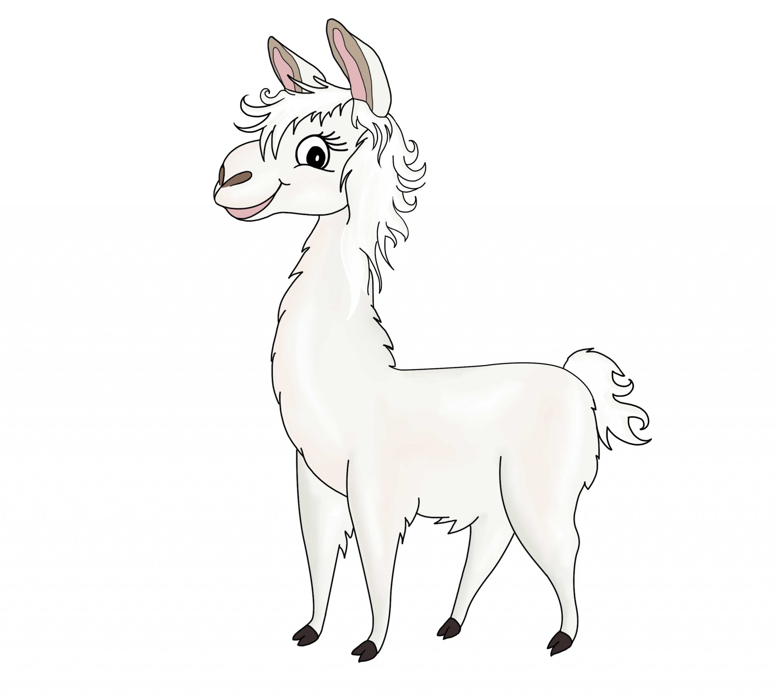 Arya the Llama