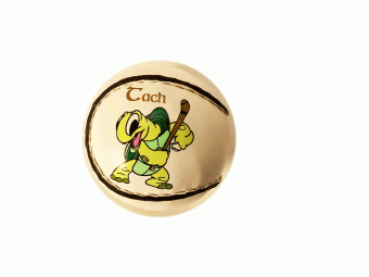 Quick Touch Sliotar